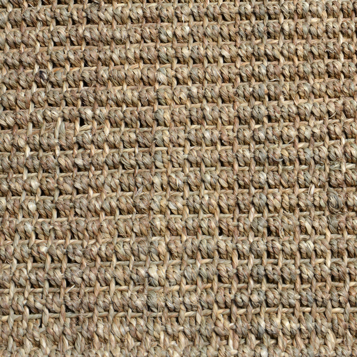 30065109