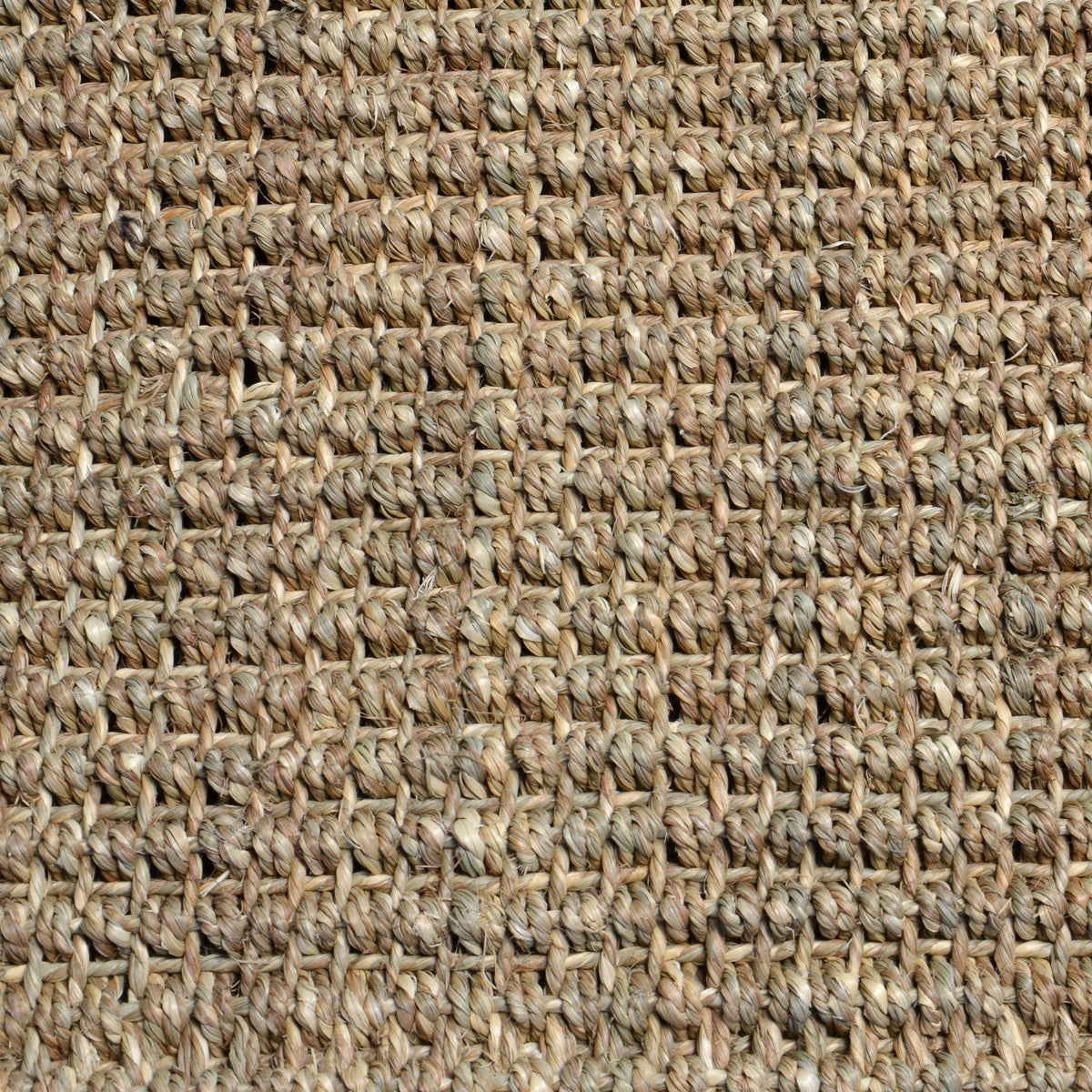 30065106