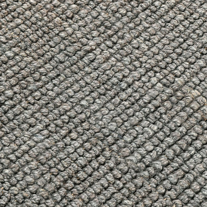 30091066