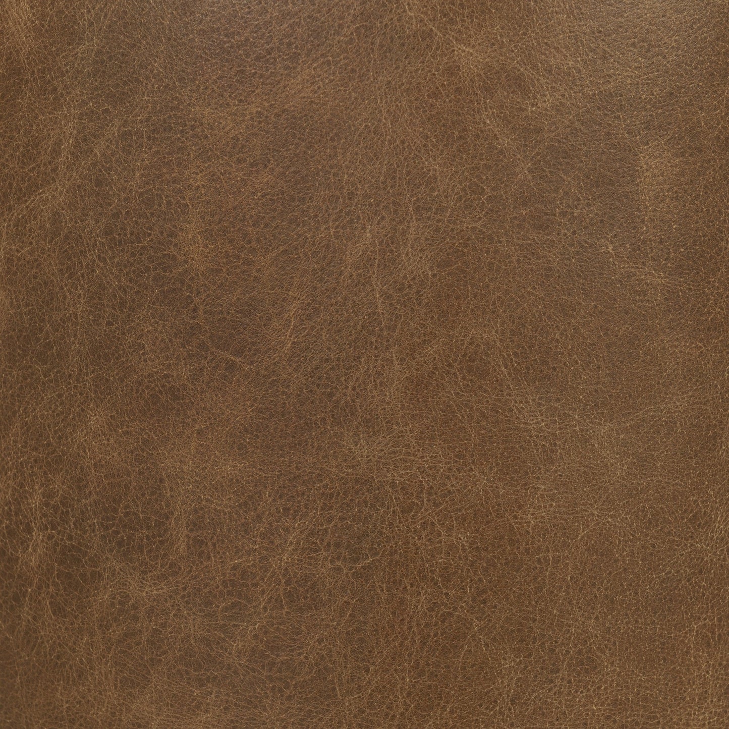 51012040