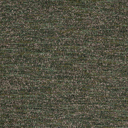 53006546