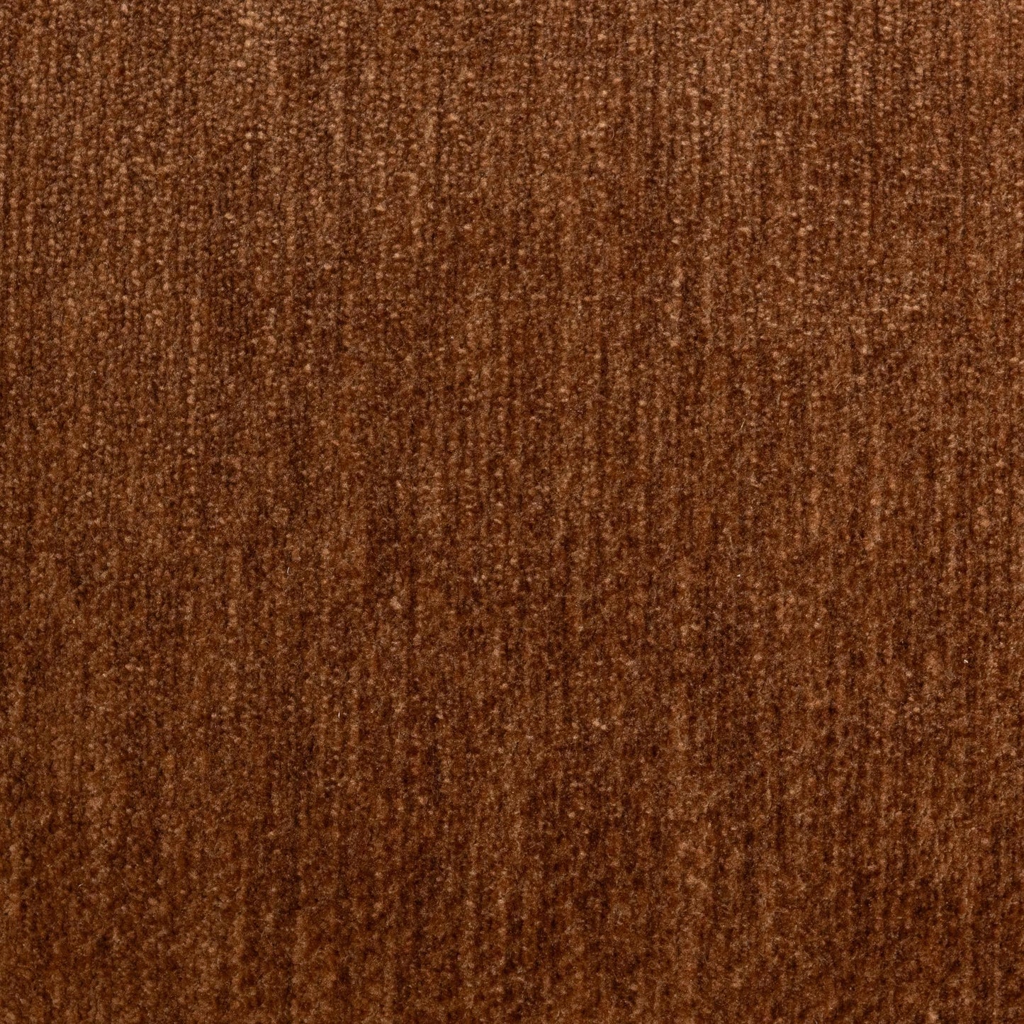 53051831