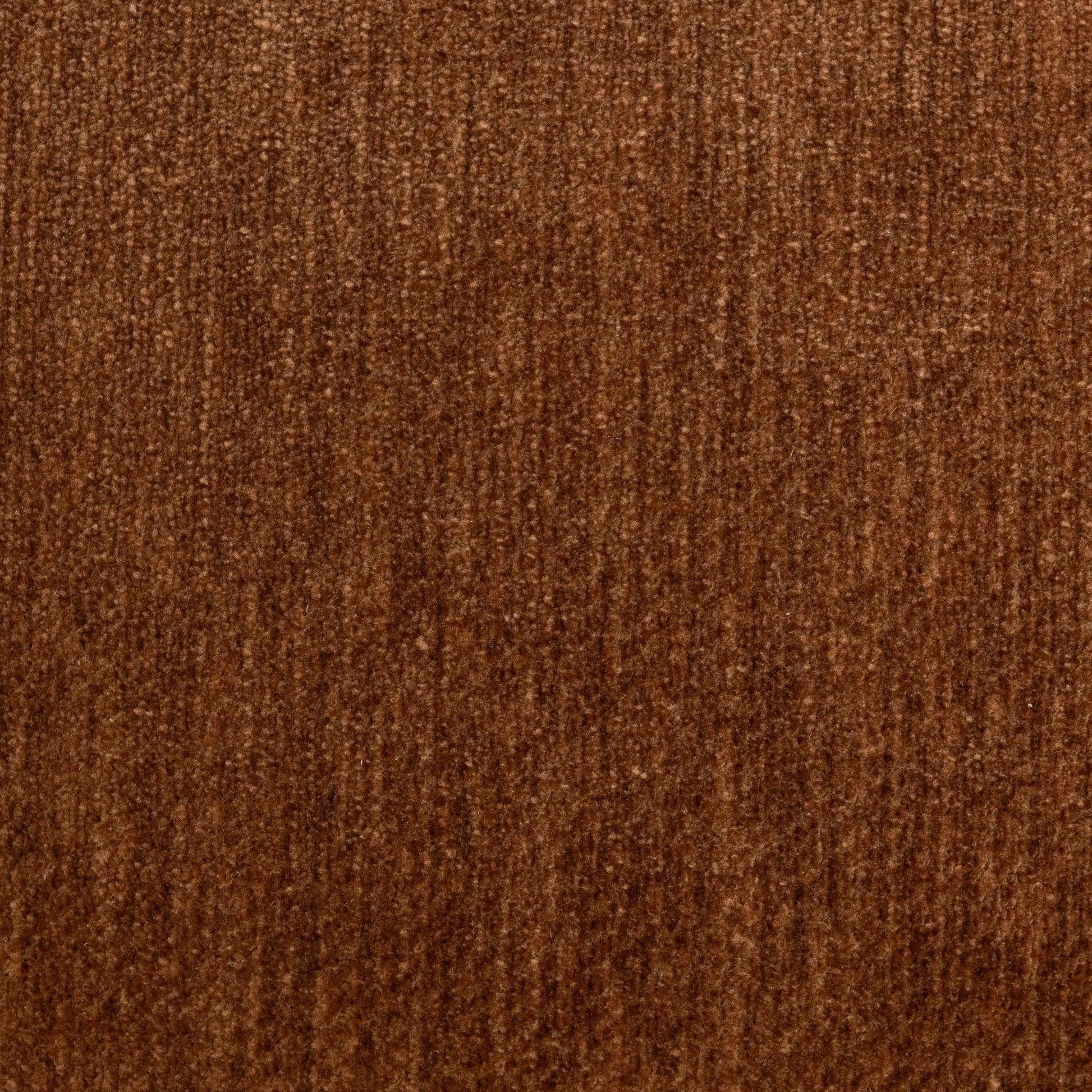 53051831