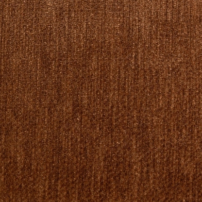 53051831