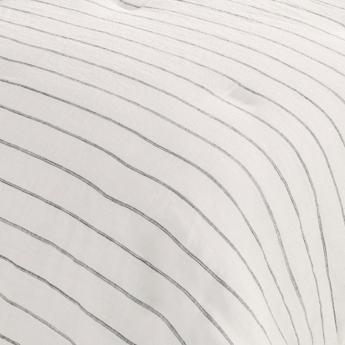 V300036