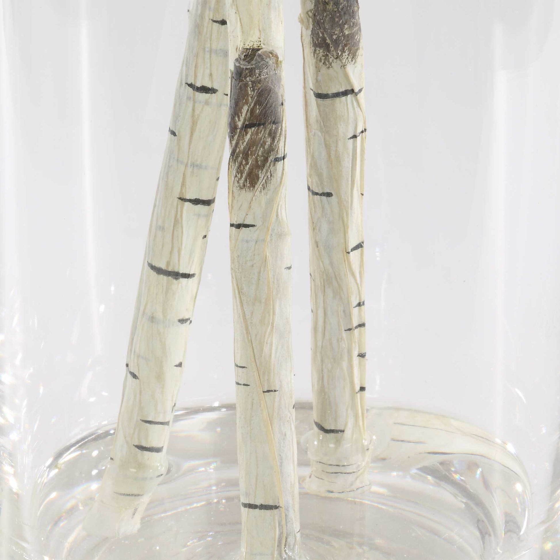 60254