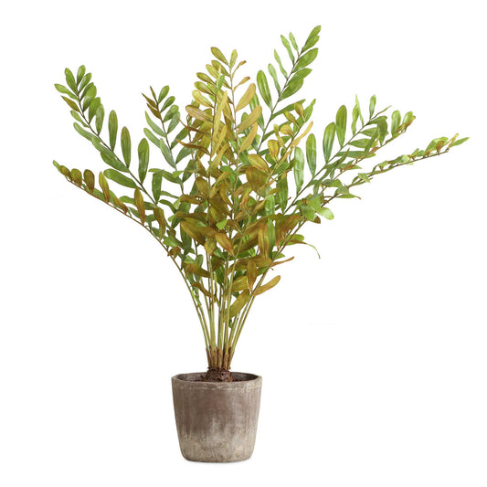 60243
