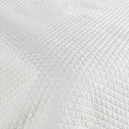 V021547SW
