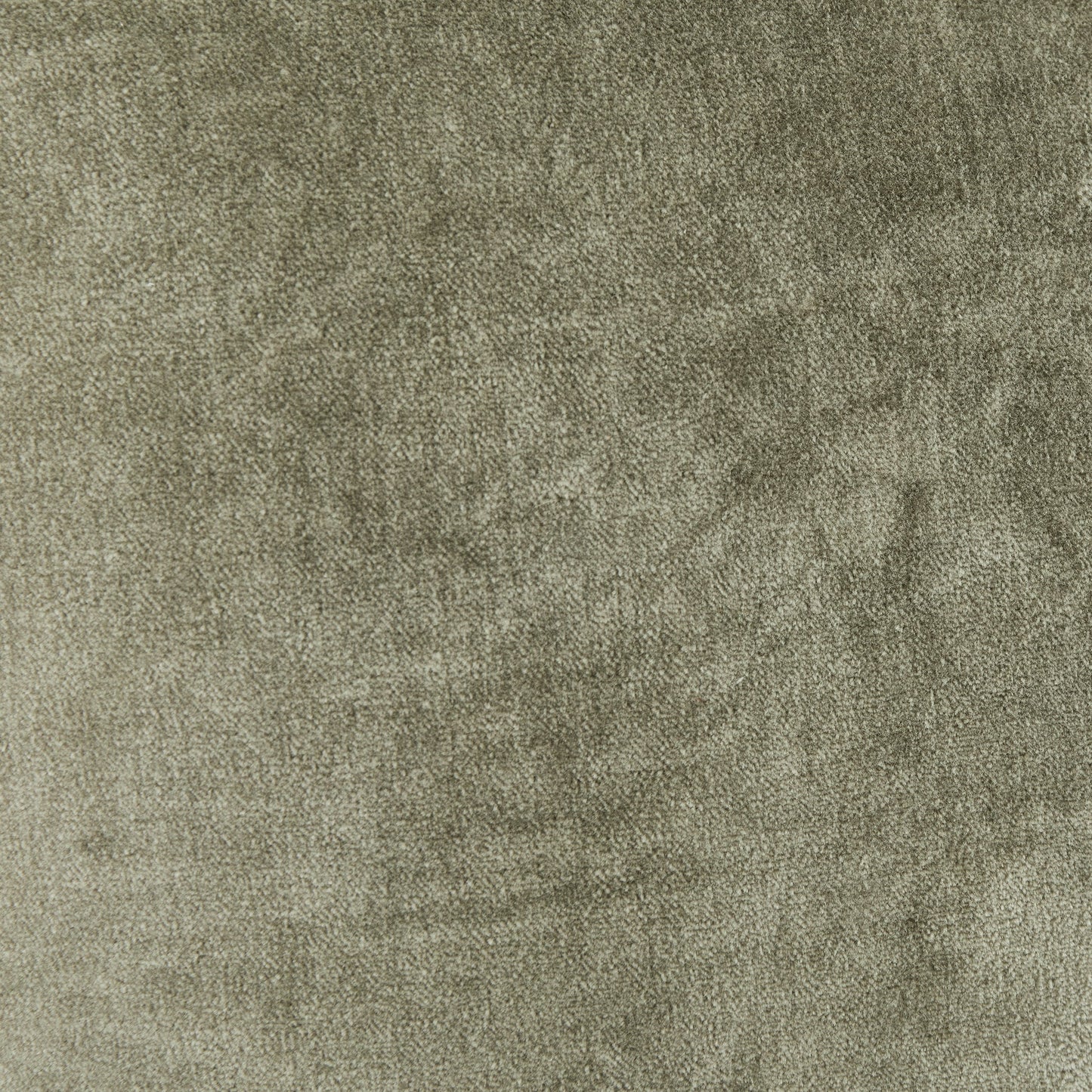 V200065