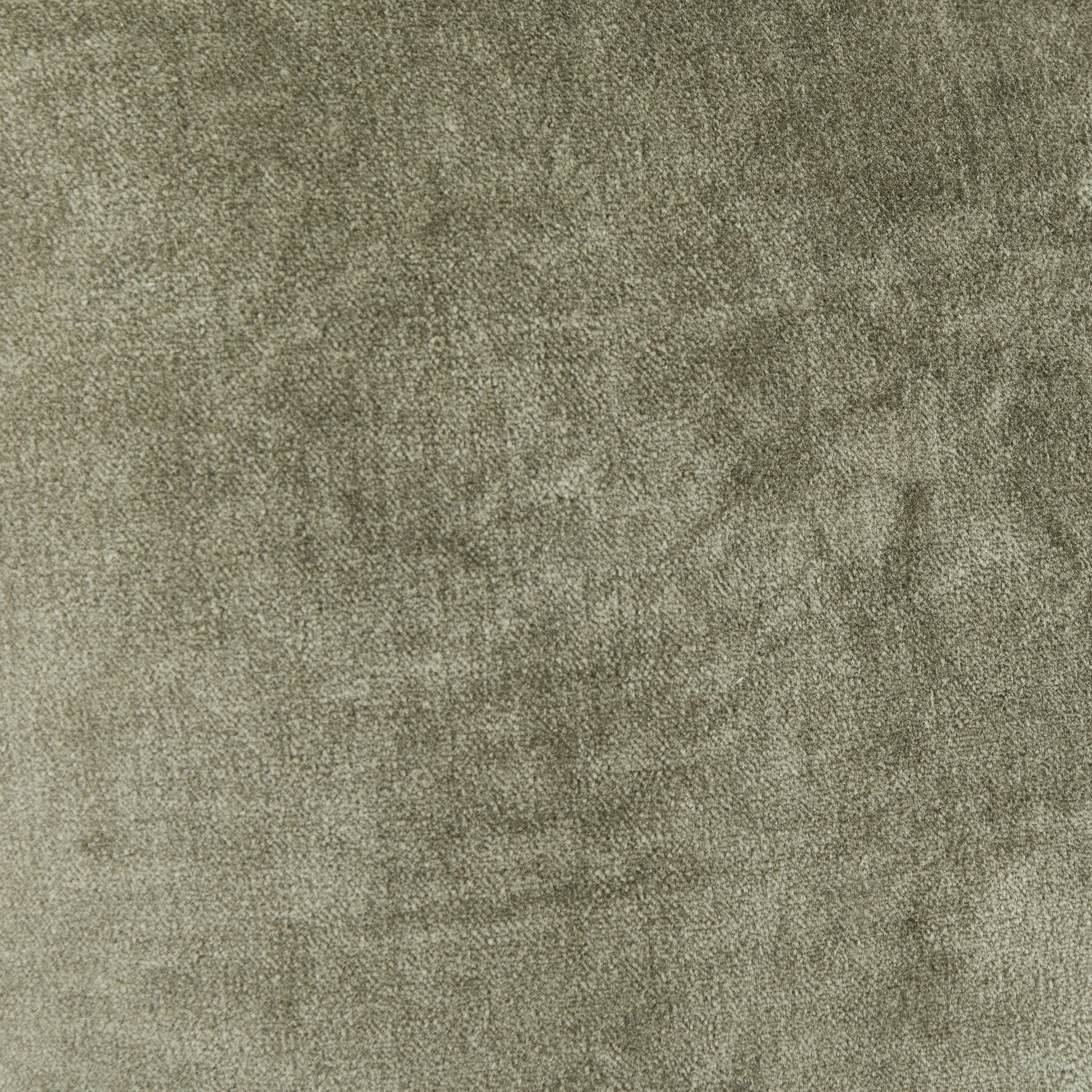 V200065