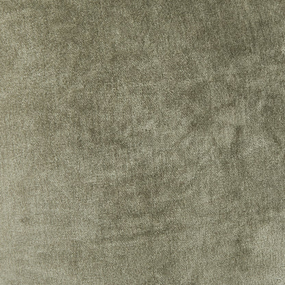 V200065