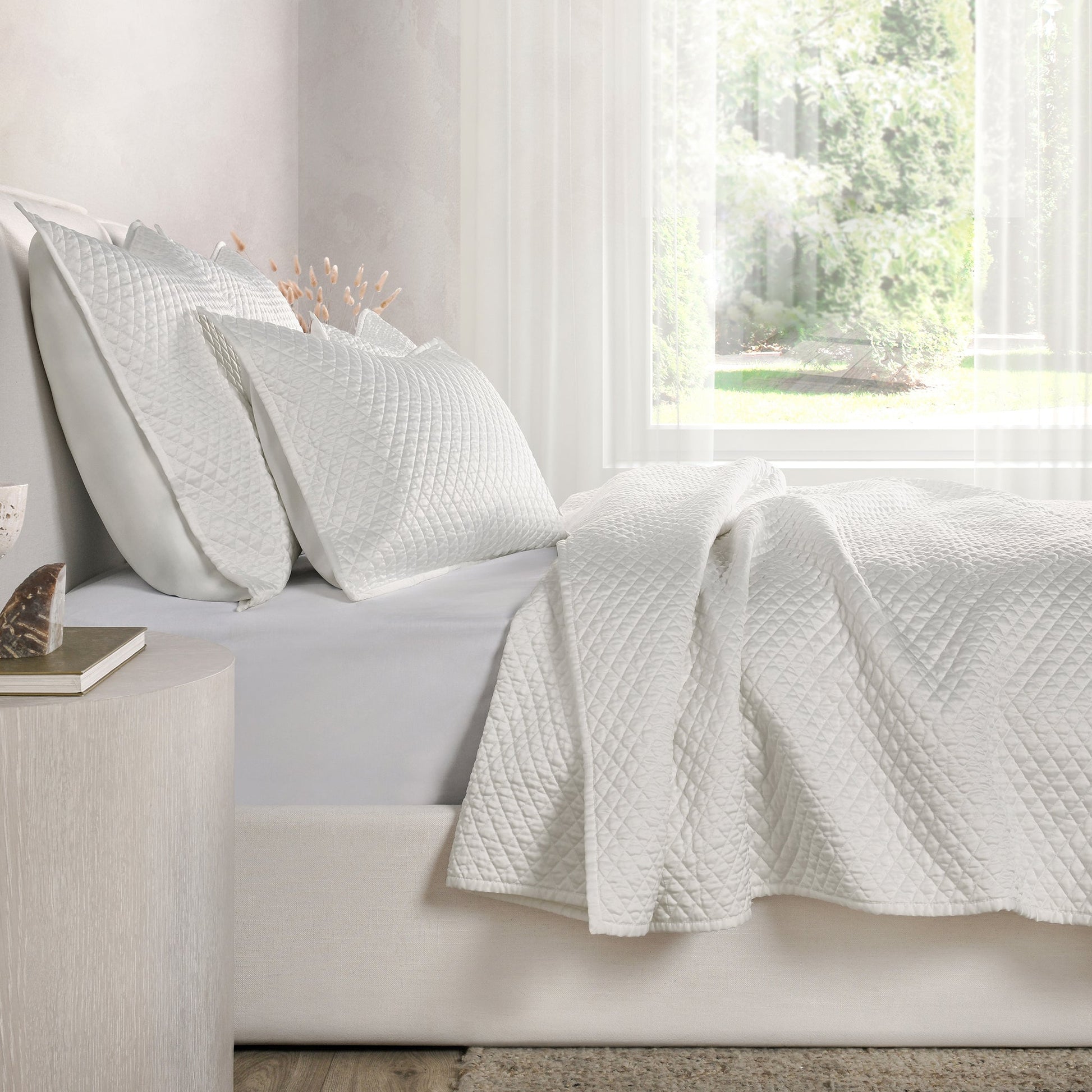 V011548