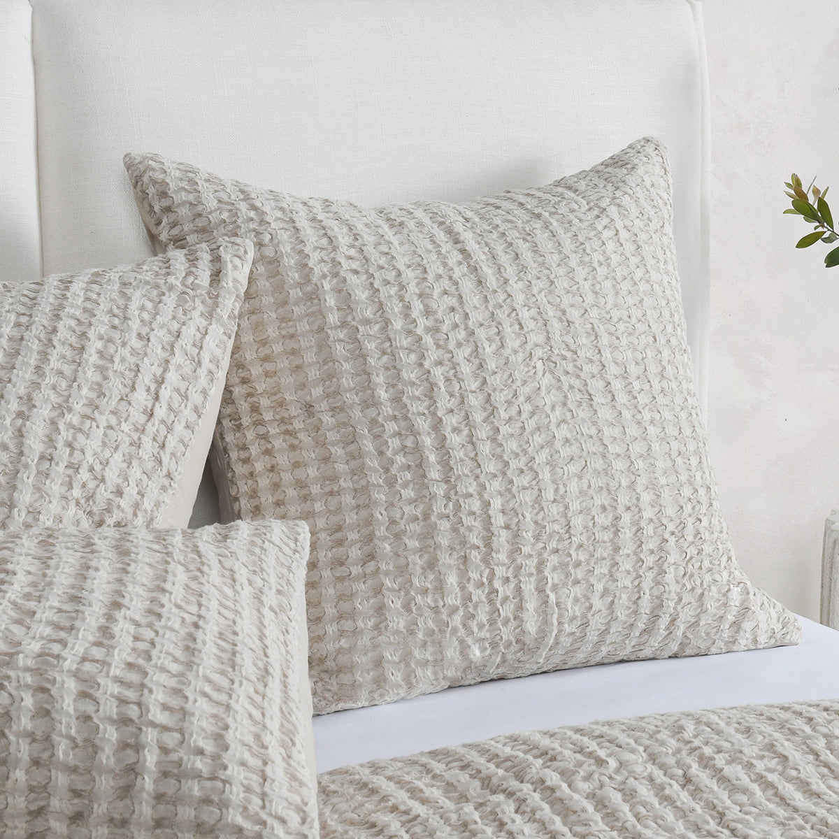 BEDQ527Q