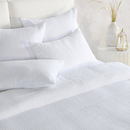 V250171