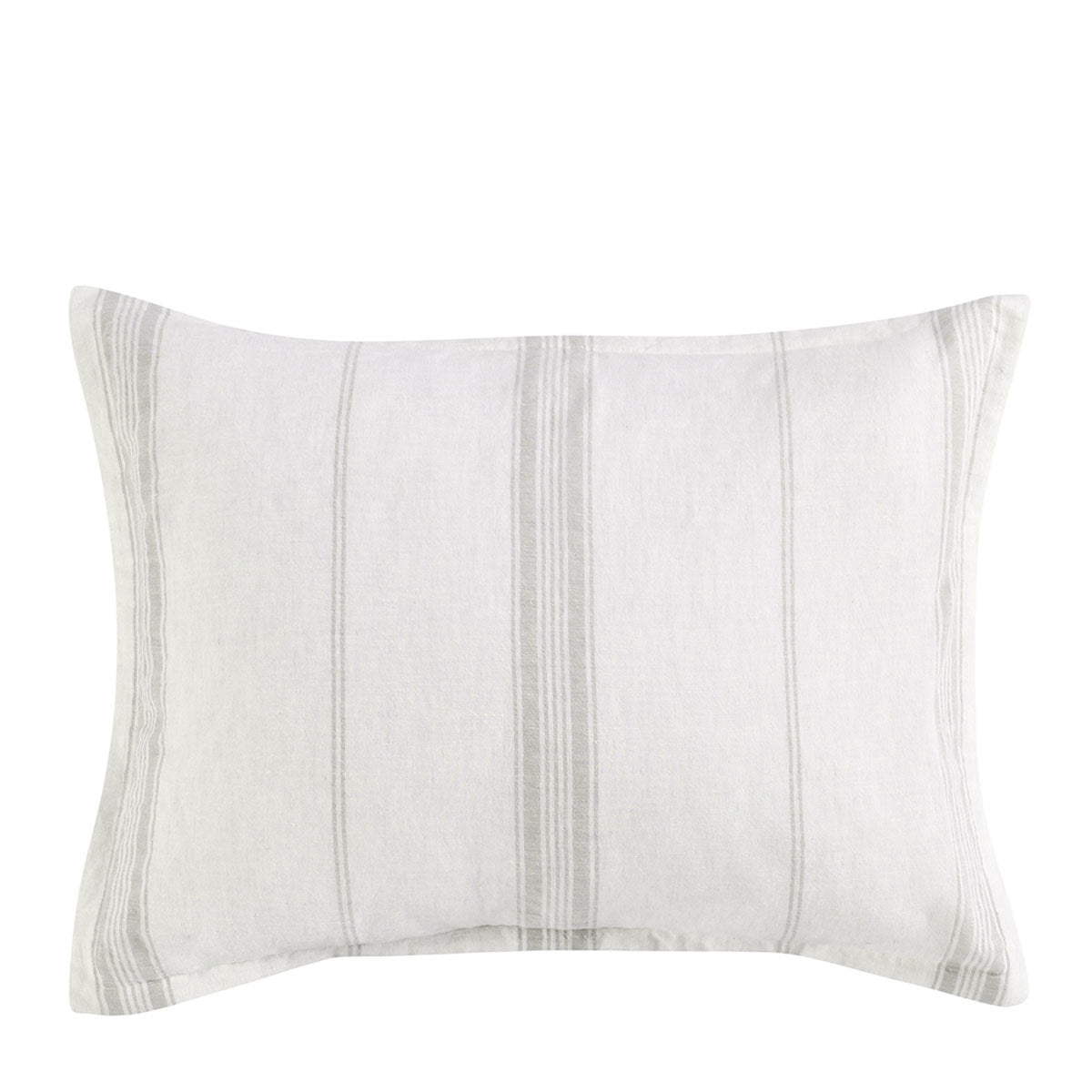 V270013