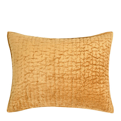 BEDQ535Q