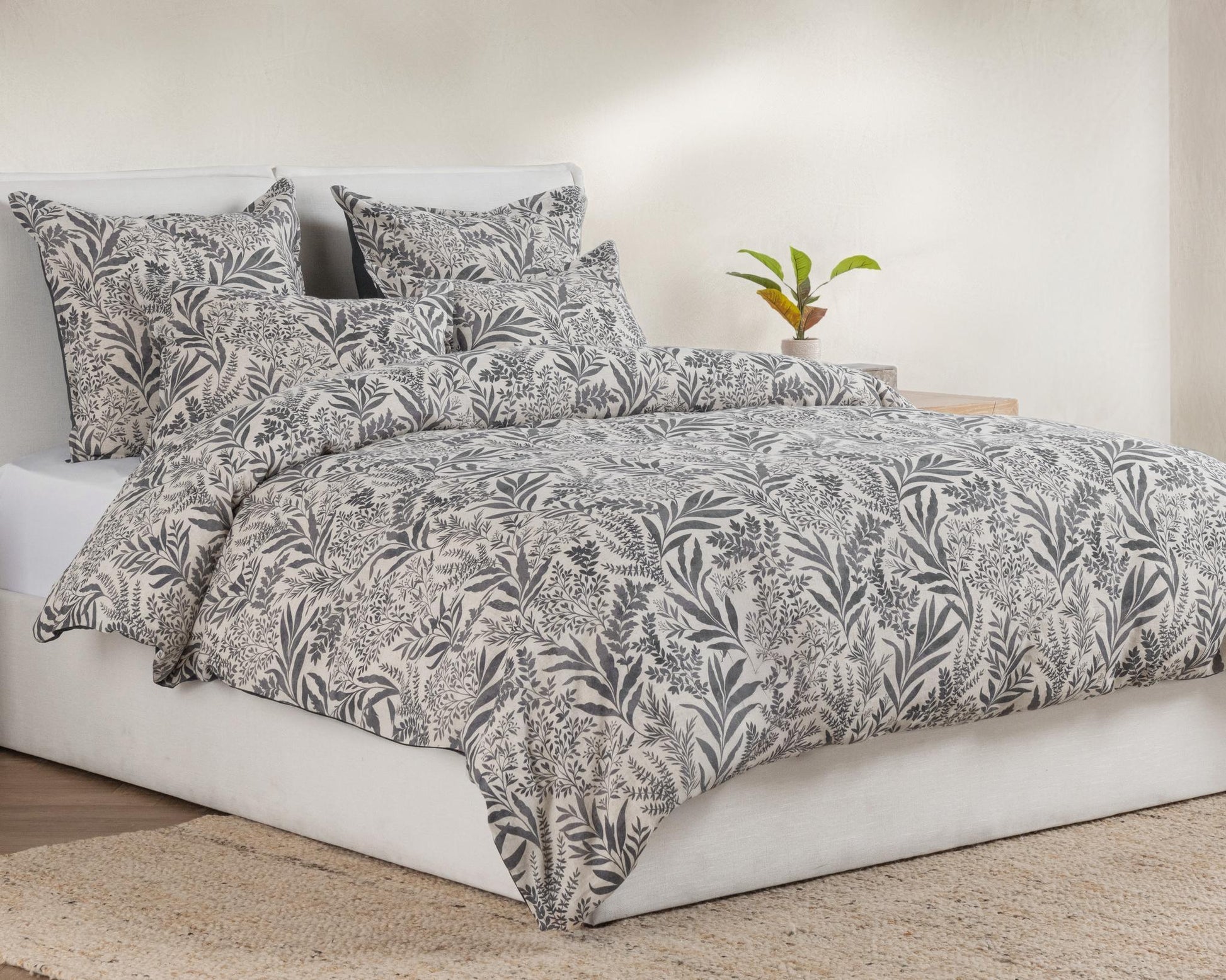 BEDD354Q