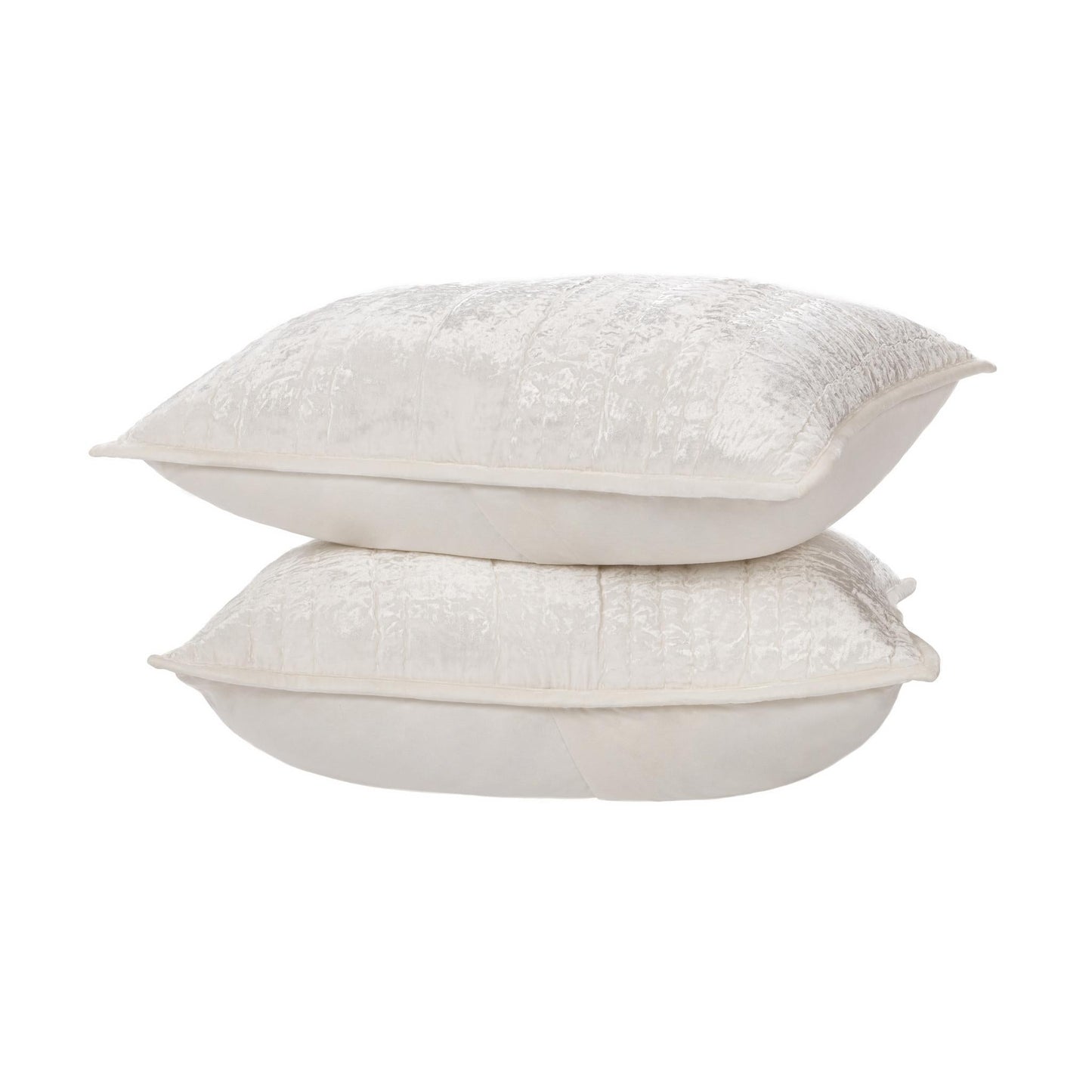 V310099